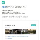 코델리아호텔 | 제주여행 서귀포 가성비호텔 1박 3만원대 코델리아호텔 후기