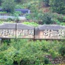 하늘빛 황토방 이미지