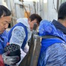 헤세드신경외과의원 네이버블로그