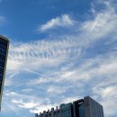 신사역 5번출구 앞 이미지