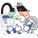 성인농장 이미지