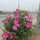 성환주유소 이미지