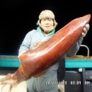 대왕초장 Daum카페
