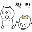 오토오아시스 롯데몰 은평몰 이미지