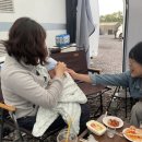 김밥in카페 | 260th Camping, in 아이올레 인 포레스트 캠핑... 제주캠핑패밀리 5월 정모