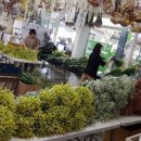 환타지아 이미지