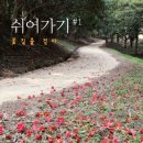 꽃길을걷다