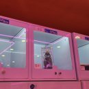 리얼뽑기방 이미지