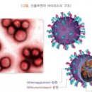 영내과의원 이미지