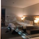 소노캄 고양 이미지