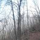 약나무마실 이미지