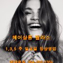 BELLACE(벨라스) 네이버블로그