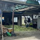 두천농장 이미지