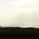 노을빛바다 이미지