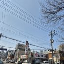 하천(대전천2) | [공지] 대전 봄꽃 명소 2탄 대전 중촌동 하상도로 벚꽃길 후기
