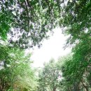 쌍암근린공원2 이미지