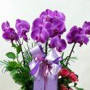 로이코빌딩 이미지