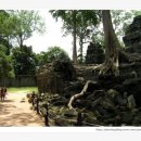 캄보디아-앙코르왓트 여행 : '늙은 사제' 또는 '브라마의 조상' 이라는 뜻이 있는 타프롬(Ta Prohm) 이미지
