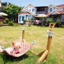 러브독애견카페 이미지