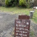 수목다방 이미지
