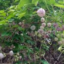 서하농협하나로마트 이미지