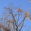 나도 시인 이미지