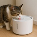 베켄 | 강아지·고양이 정수기 추천 BEST | 반려동물 건강 지키는 자동 급수기
