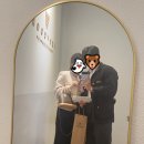 더베리컴퍼니 이미지