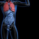 미사나무내과의원 이미지