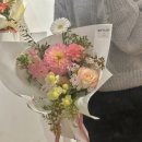 햅앤탭 이미지