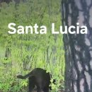 Santa Lucia 이미지