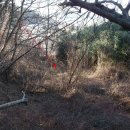 옹진군자월면승봉보건진료소 이미지