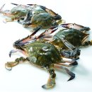 서해안마트 이미지