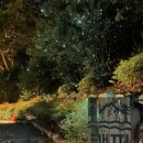 힐링밸리민박 이미지