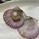 대구 상인동 맛집 해산물 굴찜 홍가리비 소라 황금왕새우조개구이