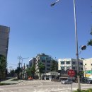 강화대로 이미지