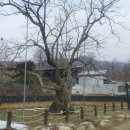 풍요목장 이미지