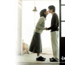 국화꽃향기 이미지