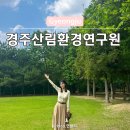 경주산림환경연구원 | 경주 산림환경연구원 - 나만 알고 싶은 힐링 여행지