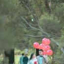 에이스 국제국내결혼 이미지