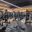 피트니스365 이미지