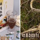 약초이야기 이미지