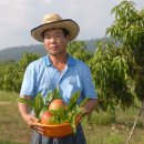 한국의 미래 식량기지, 캄보디아 농업 현장을 가다 이미지