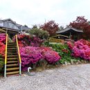 하늘꽃 펜션 이미지