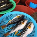 동삼1동-12 이미지