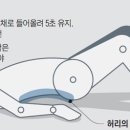 정선근 교수의 백년 쓰는 척추관절 운동법] [4] '하체의 핵심' 엉덩이, 누워서 들어올리기로 근육 강화 2017.12.19 이미지