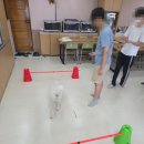 한들A 티스토리