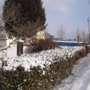 장곡초교 이미지