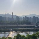 중랑천 뚝방길 (옥외11) | 고등학교 친구와 부부 동반으로 만난 날(6월 20일, 목)