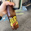 엘앤피자판기